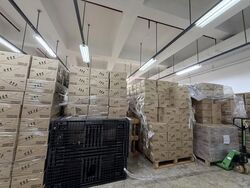 Citipoint Industrial Complex (D14), Factory #624905731